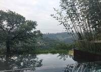 美景素心園