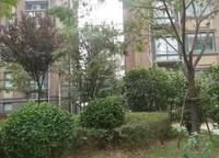 雙河灣