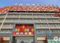 中南海知音
