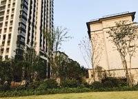 碧源月湖