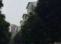 永威鑫城