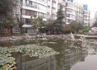 財(cái)政局家屬院