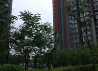 中央特區(qū)青春圣地