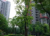 中央特區(qū)青春圣地