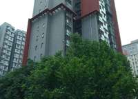 中央特區(qū)青春圣地