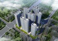 金林雙璽