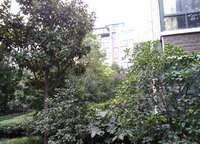 永威鑫城