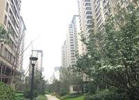 正弘中央公園