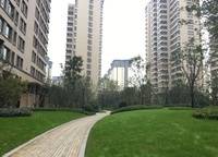 正弘中央公園