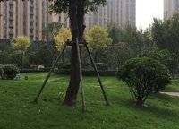 財信圣堤亞納