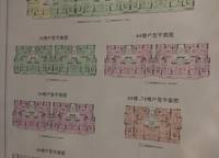 碧源月湖