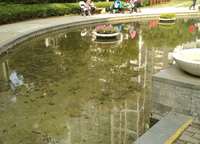 鑫苑國際城市花園