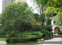 海馬公園