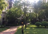 銀河丹堤