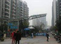 中南海知音