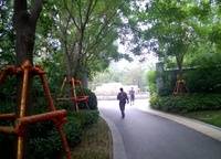 永威五月花城