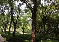 海馬公園