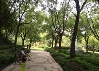 海馬公園