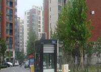中央特區(qū)青春圣地