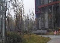 中央特區(qū)青春圣地