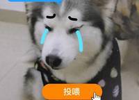 綠都瀾灣