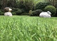 永威梅隆公館