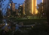 大溪地