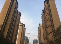 大溪地