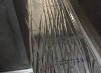 永威逸陽溪畔