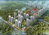 建業(yè)春天里