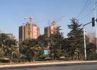 碧桂園鳳凰灣