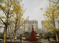 建業(yè)春天里