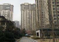 建業(yè)春天里