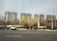 建業(yè)春天里