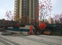 建業(yè)富力五龍新城