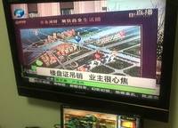 錦藝金水灣