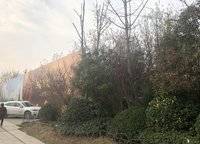 五建新街坊