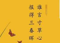盛澳金尊府