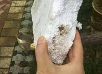 鄭西理想城