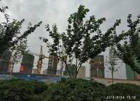 亞新紫藤公館