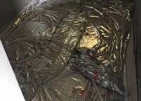 遠洋瑞林宸章