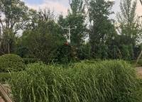 普羅理想國