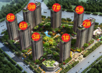 龍中金源