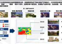 龍湖天宸原著