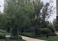 泰宏陽光和苑