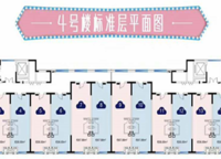 云瓴國際