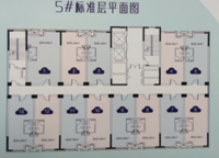 云瓴國際