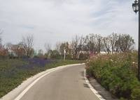 藍光鳳湖長島國際社區(qū)