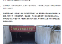 鄭地美景東望（東望云朗）