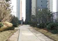 泰宏建業(yè)國際城